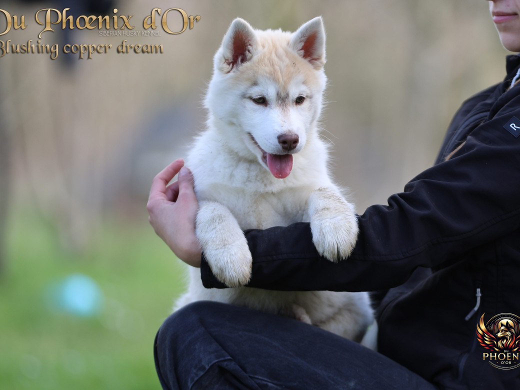 Photo 8 de Femelle 5 - Pandora x Moky (Janvier 2026)