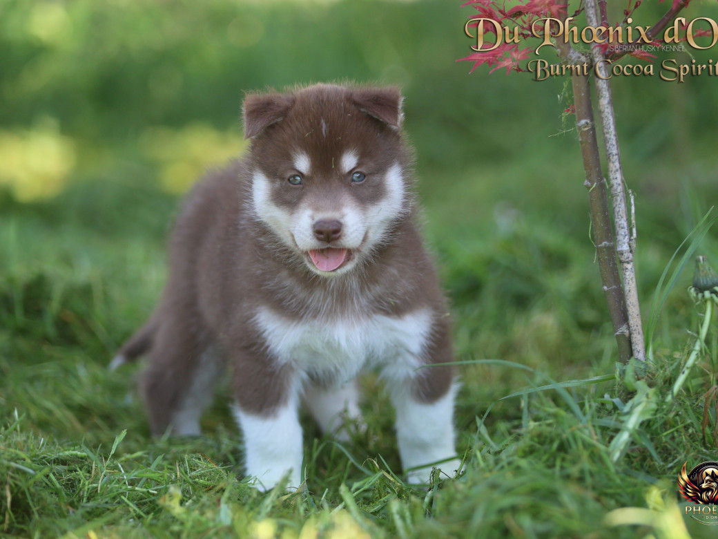 Photo 1 de Mâle 4 - Moon x Ultra (Mars 2026)