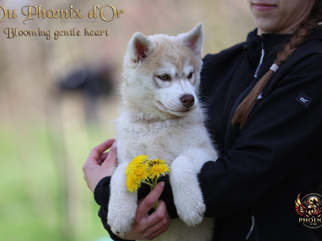 Photo 6 de Femelle 1 - Pandora x Moky (Janvier 2026)