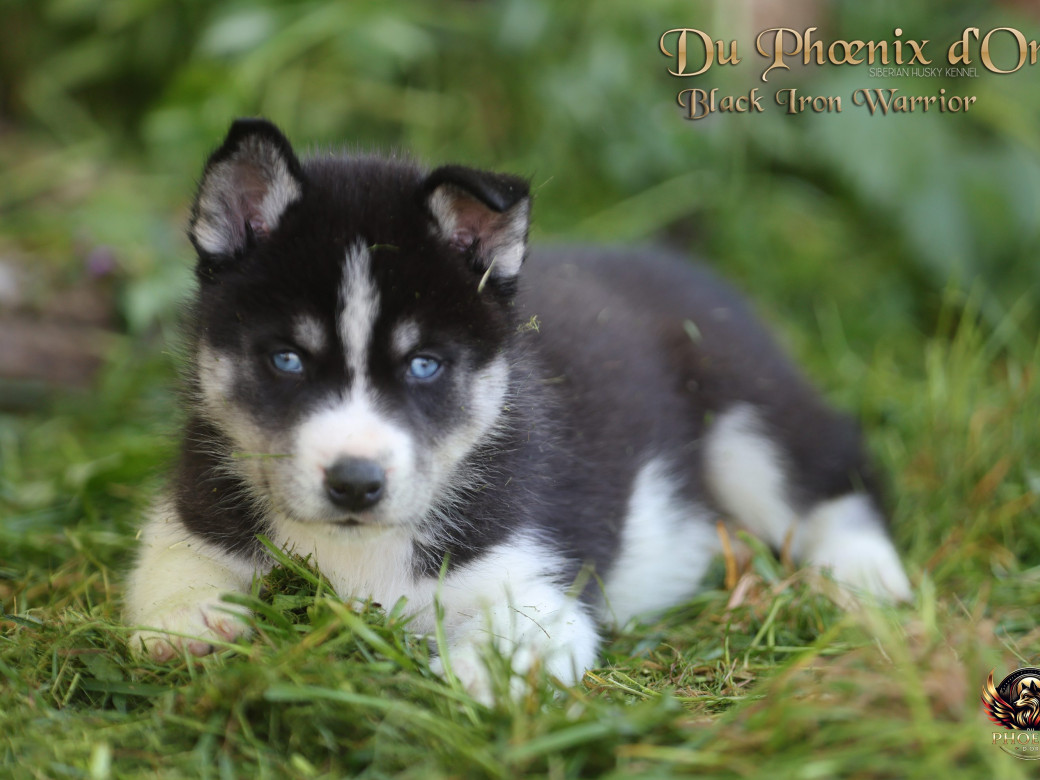 Photo 3 de Mâle 3 - Moon x Ultra (Mars 2026)