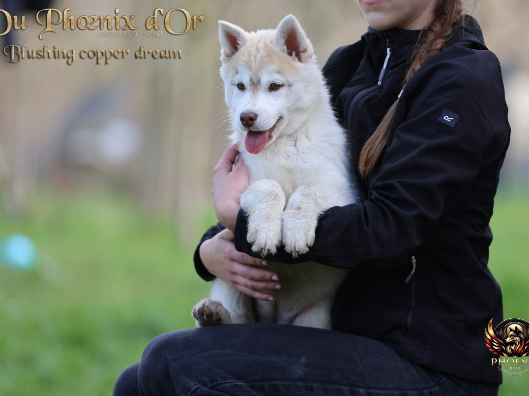 Photo 7 de Femelle 5 - Pandora x Moky (Janvier 2026)