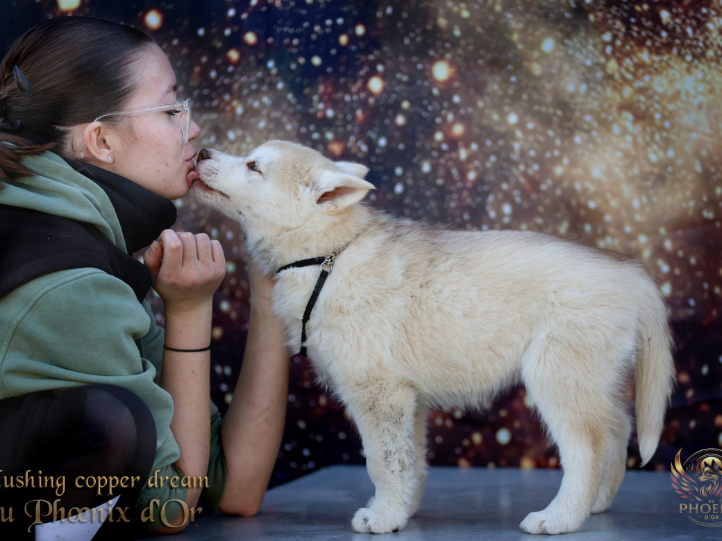 Photo 18 de Femelle 5 - Pandora x Moky (Janvier 2026)