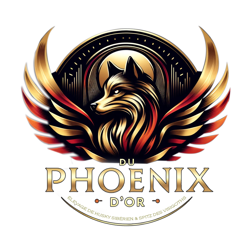 Logo Du Phoenix d'Or